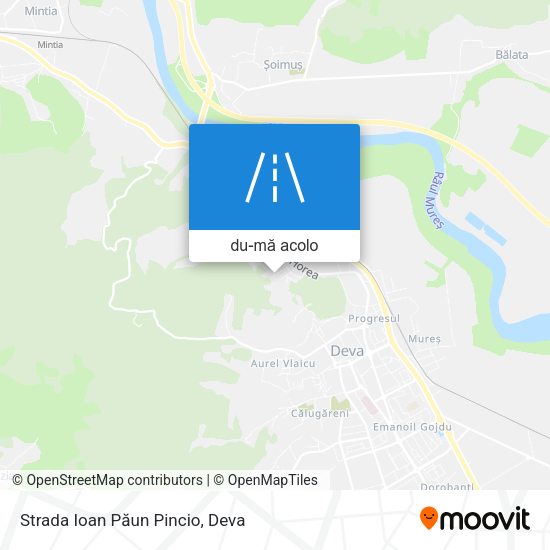 Hartă Strada Ioan Păun Pincio