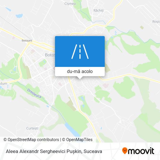 Hartă Aleea Alexandr Sergheevici Pușkin