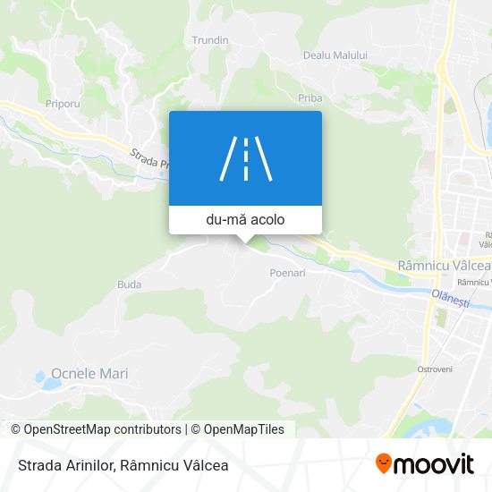 Hartă Strada Arinilor