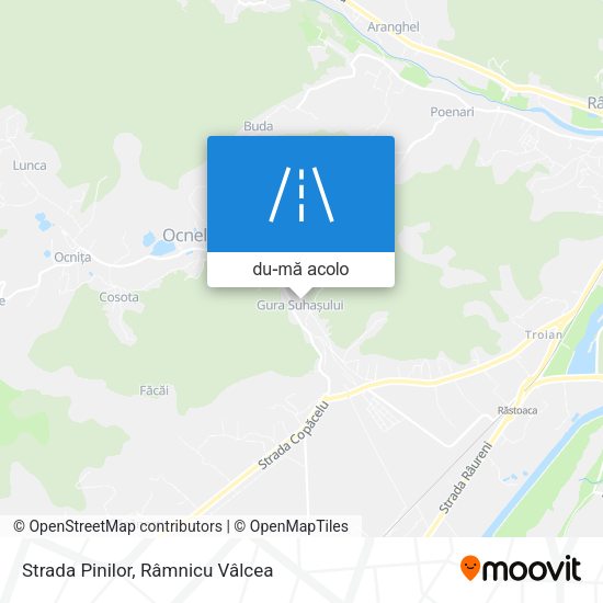 Hartă Strada Pinilor