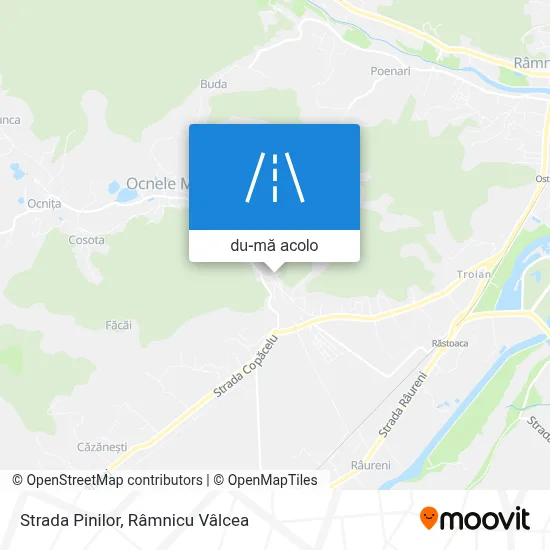 Hartă Strada Pinilor