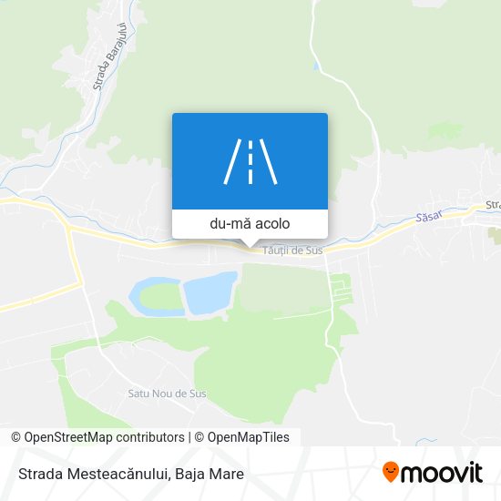 Hartă Strada Mesteacănului