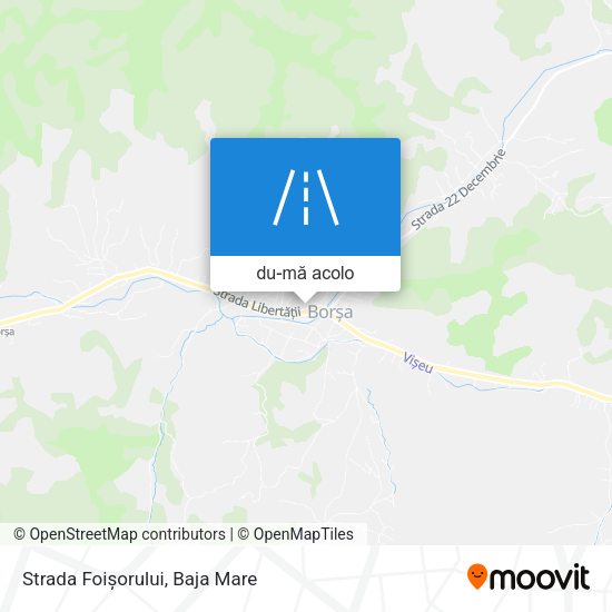 Hartă Strada Foișorului