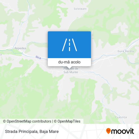 Hartă Strada Principala
