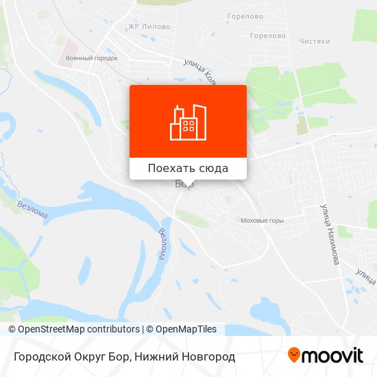 Карта Городской Округ Бор
