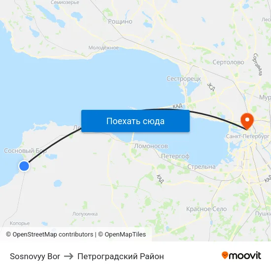Sosnovyy Bor to Петроградский Район map