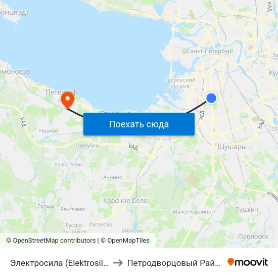 Электросила (Elektrosila) to Петродворцовый Район map