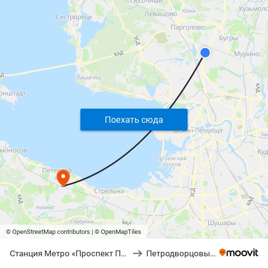 Станция Метро «Проспект Просвещения» to Петродворцовый Район map