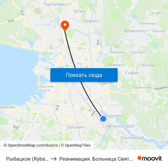 Рыбацкое (Rybatskoye) to Реанимация.  Больница Святого Георгия. map