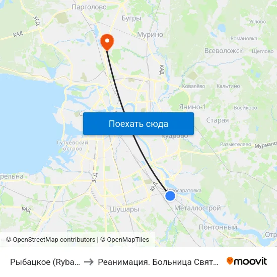 Рыбацкое (Rybatskoye) to Реанимация.  Больница Святого Георгия. map