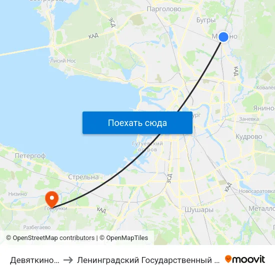 Девяткино (Devyatkino) to Ленинградский Государственный Университет имени А.С. Пушкина map