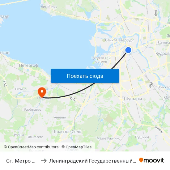 Ст. Метро Лиговский Пр. to Ленинградский Государственный Университет имени А.С. Пушкина map
