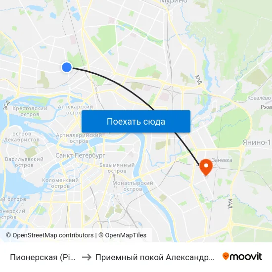 Пионерская (Pionerskaya) to Приемный покой Александровской больницы map