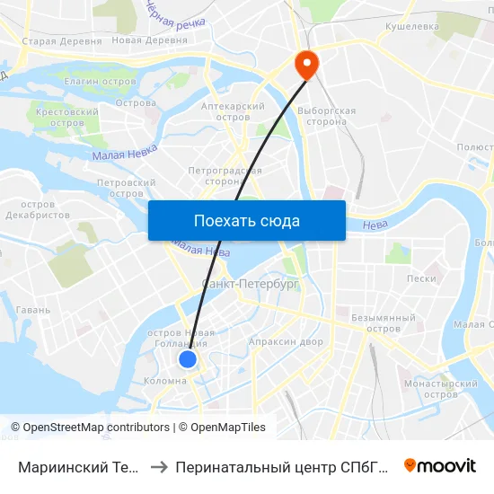 Мариинский Театр to Перинатальный центр СПбГПМУ map