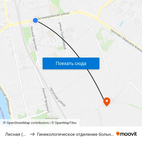Лесная (Lesnaya) to Гинекологическое отделение больницы им. Святого Луки map