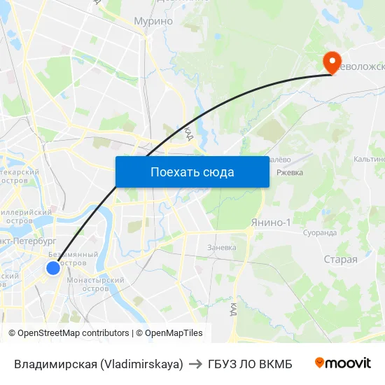 Владимирская (Vladimirskaya) to ГБУЗ ЛО ВКМБ map