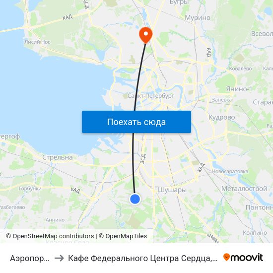 Аэропорт Пулково 1 to Кафе Федерального Центра Сердца, Крови, Эндокринологии им. Алмазова map
