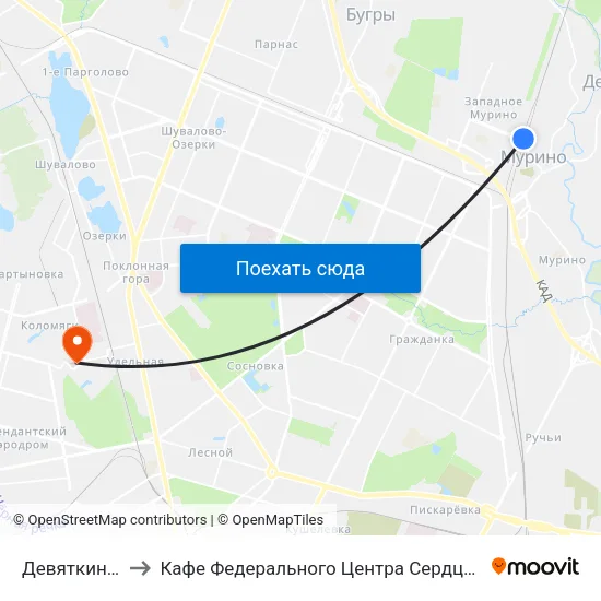 Девяткино (Devyatkino) to Кафе Федерального Центра Сердца, Крови, Эндокринологии им. Алмазова map
