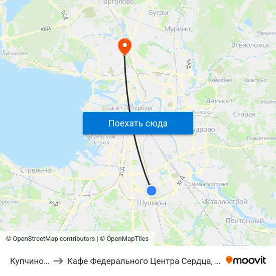 Купчино (Kupchino) to Кафе Федерального Центра Сердца, Крови, Эндокринологии им. Алмазова map