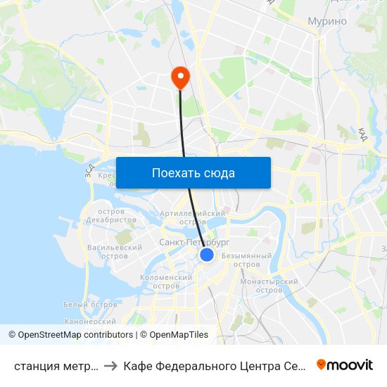 станция метро Невский Проспект to Кафе Федерального Центра Сердца, Крови, Эндокринологии им. Алмазова map