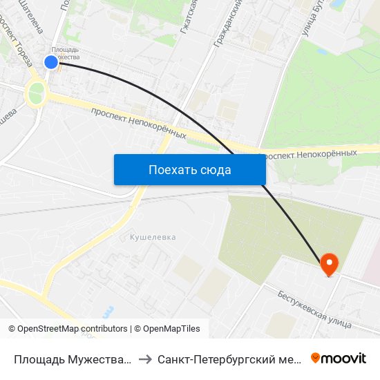 Площадь Мужества (Ploschad' Muzhestva) to Санкт-Петербургский медико-социальный институт map