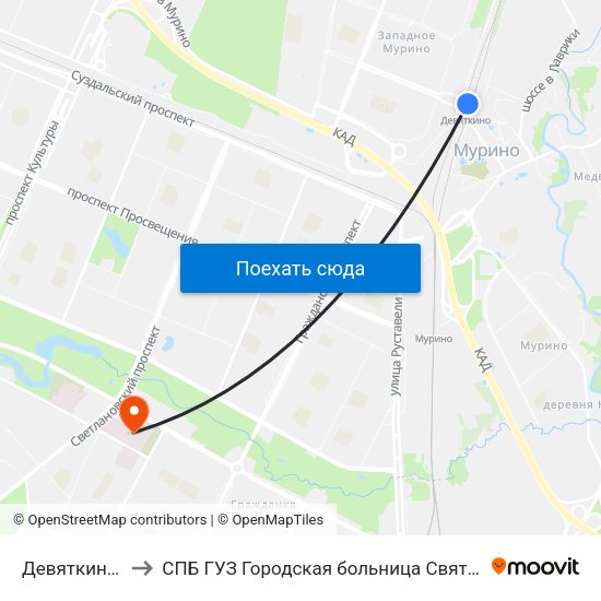 Девяткино (Devyatkino) to СПБ ГУЗ Городская больница Святой преподобной мученицы Елизаветы map