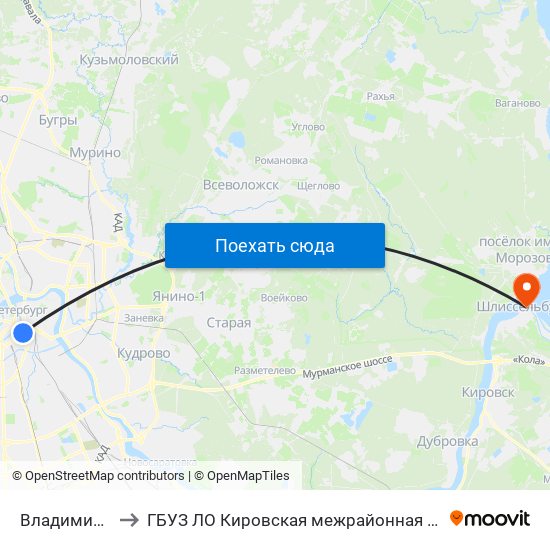 Владимирская (Vladimirskaya) to ГБУЗ ЛО Кировская межрайонная больница, Шлиссельбургская городская больница, стационар map