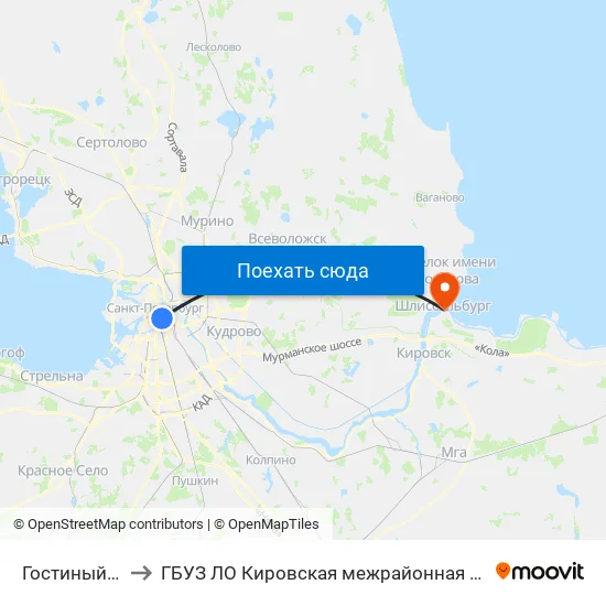Гостиный Двор (Gostiny Dvor) to ГБУЗ ЛО Кировская межрайонная больница, Шлиссельбургская городская больница, стационар map