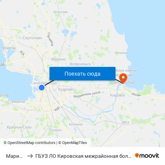 Мариинский Театр to ГБУЗ ЛО Кировская межрайонная больница, Шлиссельбургская городская больница, стационар map