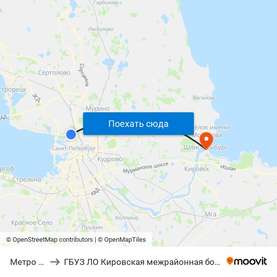 Метро "Чёрная Речка" to ГБУЗ ЛО Кировская межрайонная больница, Шлиссельбургская городская больница, стационар map
