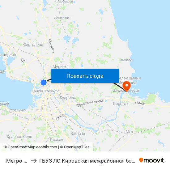 Метро "Чёрная Речка" to ГБУЗ ЛО Кировская межрайонная больница, Шлиссельбургская городская больница, стационар map