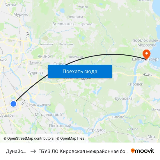 Дунайская (Dunayskaya) to ГБУЗ ЛО Кировская межрайонная больница, Шлиссельбургская городская больница, стационар map