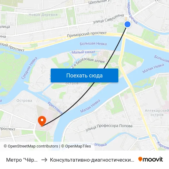 Метро "Чёрная Речка" to Консультативно-диагностический центр с поликлиникой map