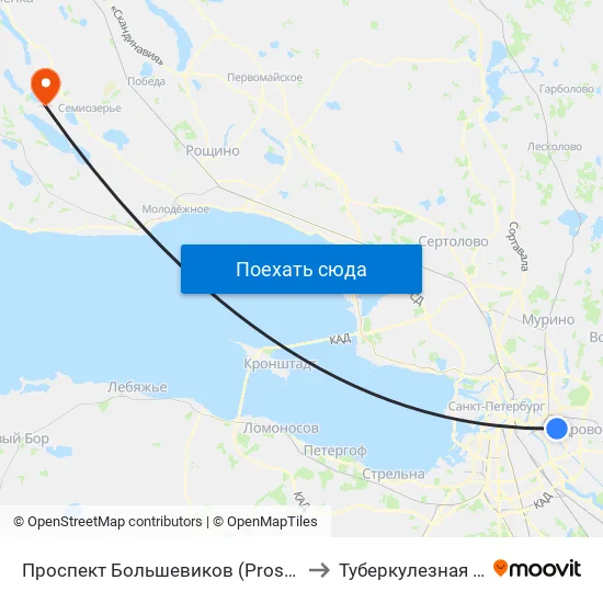 Проспект Большевиков (Prospekt Bol'Shevikov) to Туберкулезная больница map