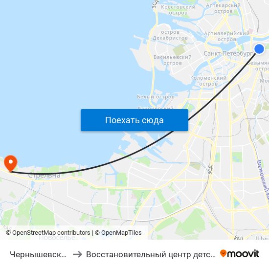 Чернышевская (Chernyshevskaya) to Восстановительный центр детской ортопедии и травматологии «Огонёк» map