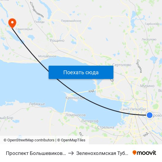 Проспект Большевиков (Prospekt Bol'Shevikov) to Зеленохолмская Туберкулезная больница map