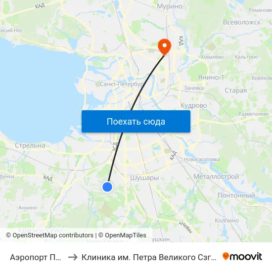 Аэропорт Пулково 1 to Клиника им. Петра Великого Сзгму им. Мечникова map