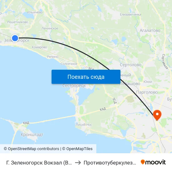 Г. Зеленогорск Вокзал (Высадки И Посадки Нет) to Противотуберкулезный диспансер №11 map