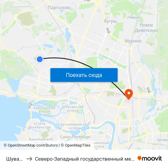 Шуваловский пр. to Северо-Западный государственный медицинский университет имени Ильи Ильича Мечникова map