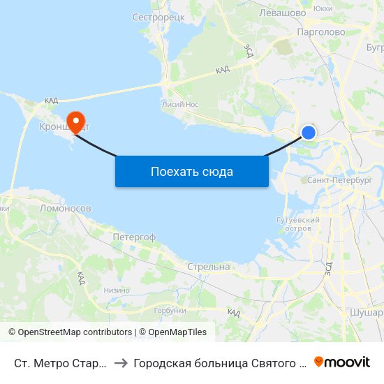 Ст. Метро Старая Деревня Посадка to Городская больница Святого Праведного Иоанна Кронштадского map