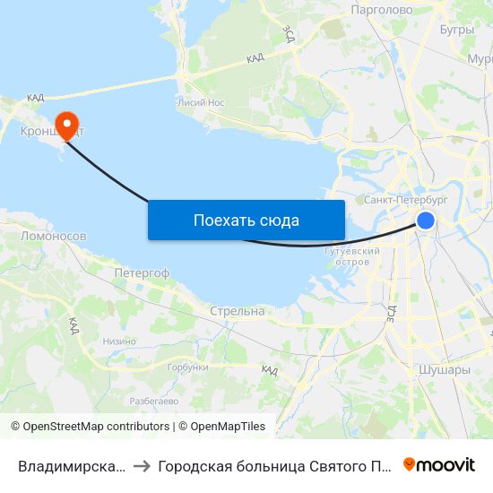 Владимирская (Vladimirskaya) to Городская больница Святого Праведного Иоанна Кронштадского map