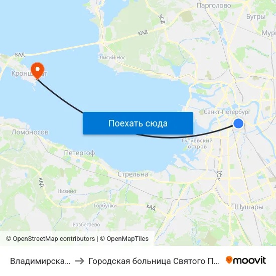 Владимирская (Vladimirskaya) to Городская больница Святого Праведного Иоанна Кронштадского map
