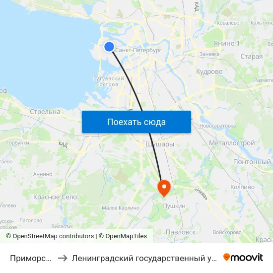 Приморская (Primorskaya) to Ленинградский государственный университет имени Александра Сергеевича Пушкина map