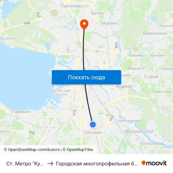 Ст. Метро "Купчино" to Городская многопрофильная больница №2 map