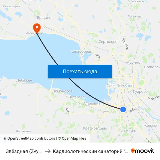 Звёздная (Zvyozdnaya) to Кардиологический санаторий ""Черная речка"" map