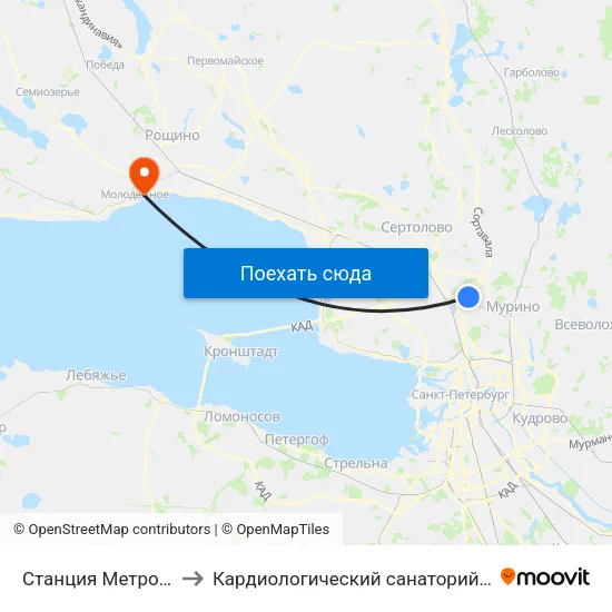 Станция Метро «Парнас» to Кардиологический санаторий ""Черная речка"" map