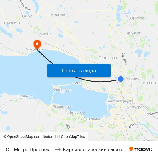 Ст. Метро Проспект Просвещения to Кардиологический санаторий ""Черная речка"" map