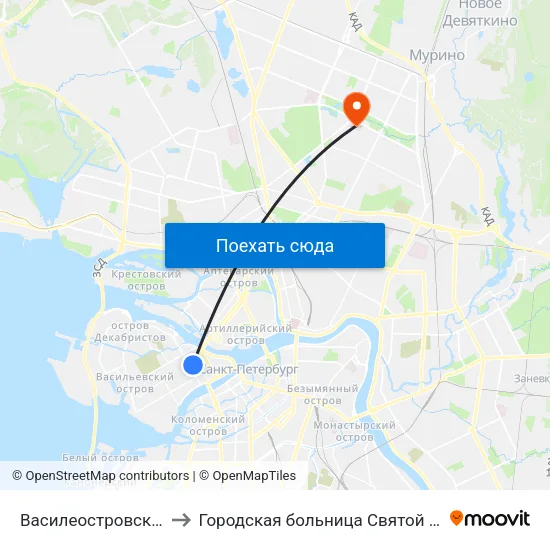 Василеостровская (Vasileostrovskaya) to Городская больница Святой преподобной мученицы Елизаветы map
