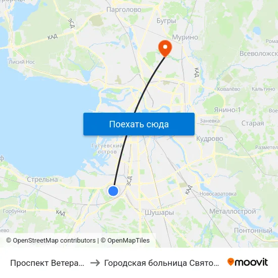 Проспект Ветеранов (Prospekt Veteranov) to Городская больница Святой преподобной мученицы Елизаветы map