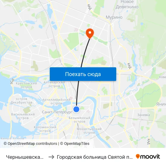 Чернышевская (Chernyshevskaya) to Городская больница Святой преподобной мученицы Елизаветы map